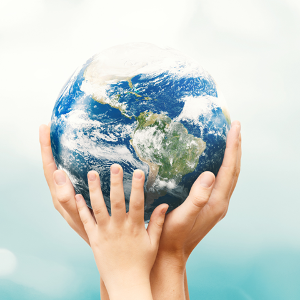 Academia Europaea Task Force on Environment, Sustainability and Climate