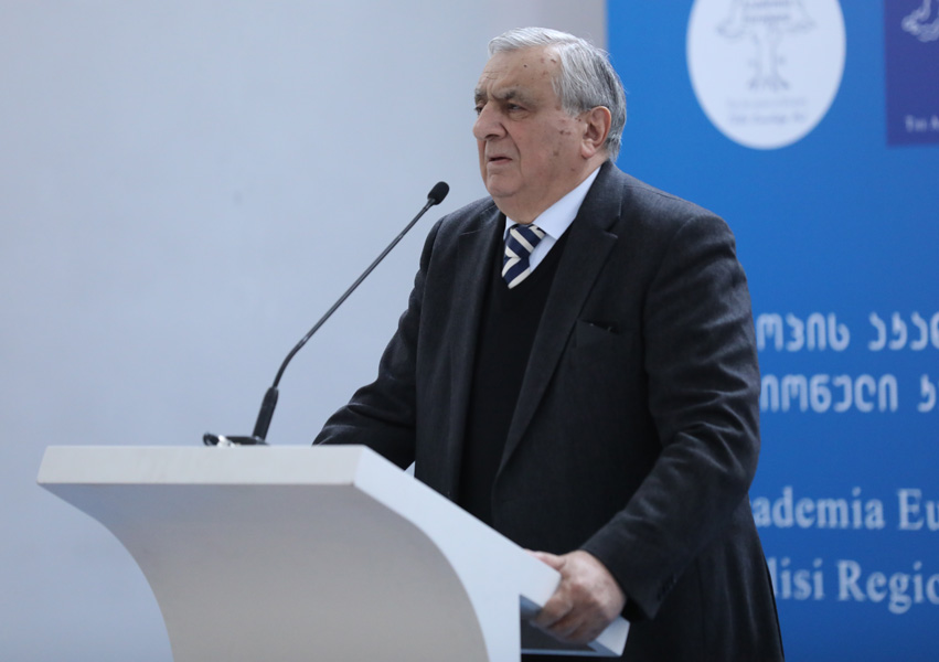 Prof. Roin Metreveli, Vice-President of Georgian National Academy of Science during welcome speech